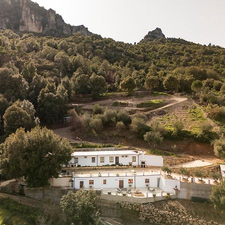 Casa Jerzu S'Essia De Su Santu Villa Exteriör bild